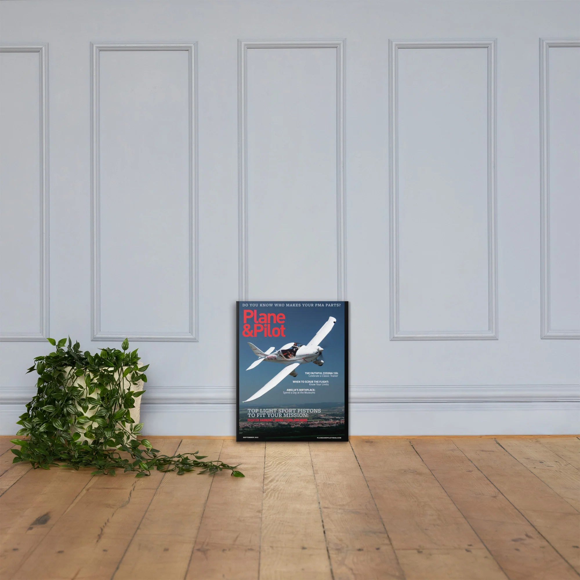 Plane & Pilot September 2023 Cover Print - Image 6